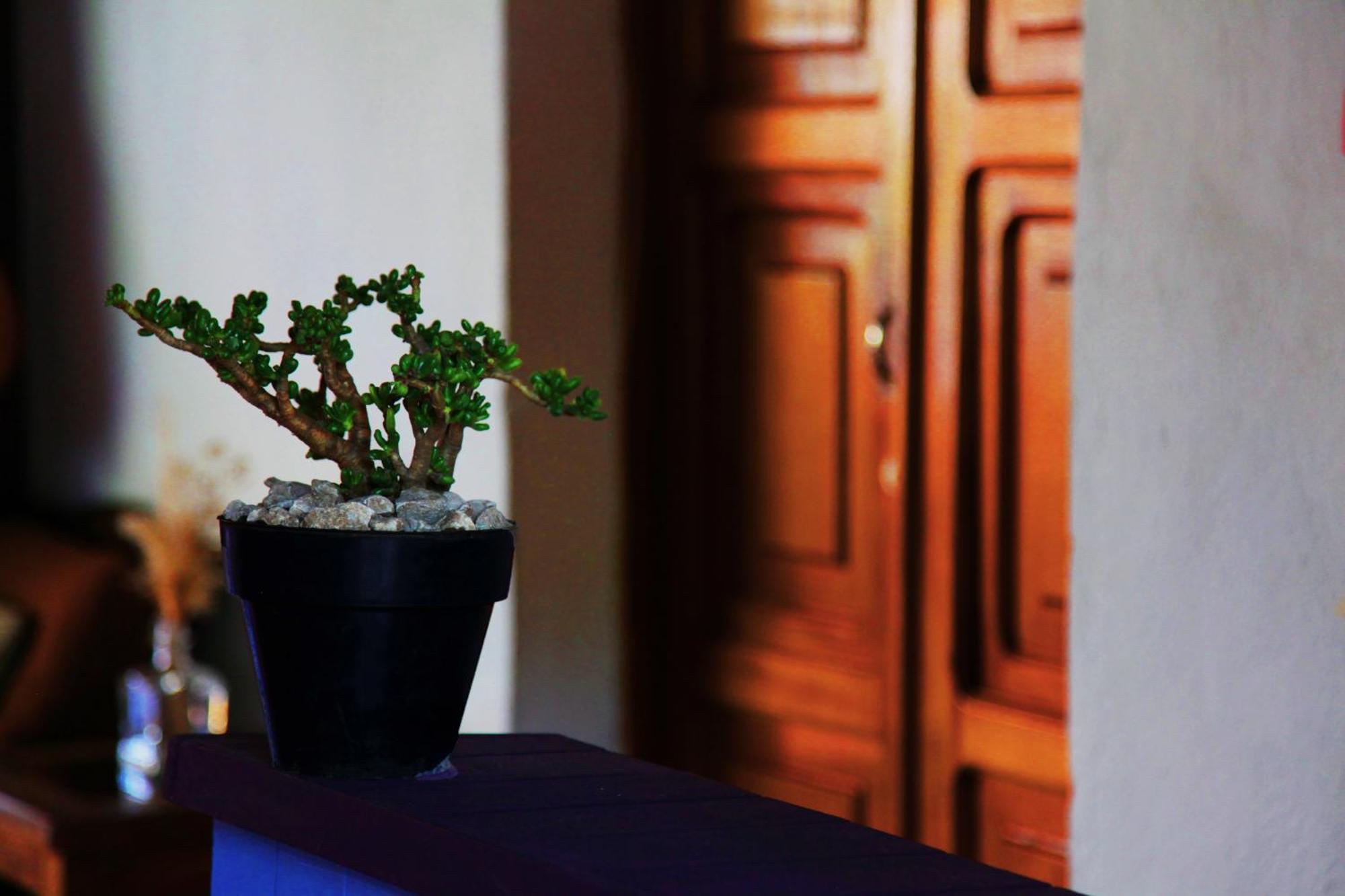 Hostal Antigueeno Antigua Екстериор снимка