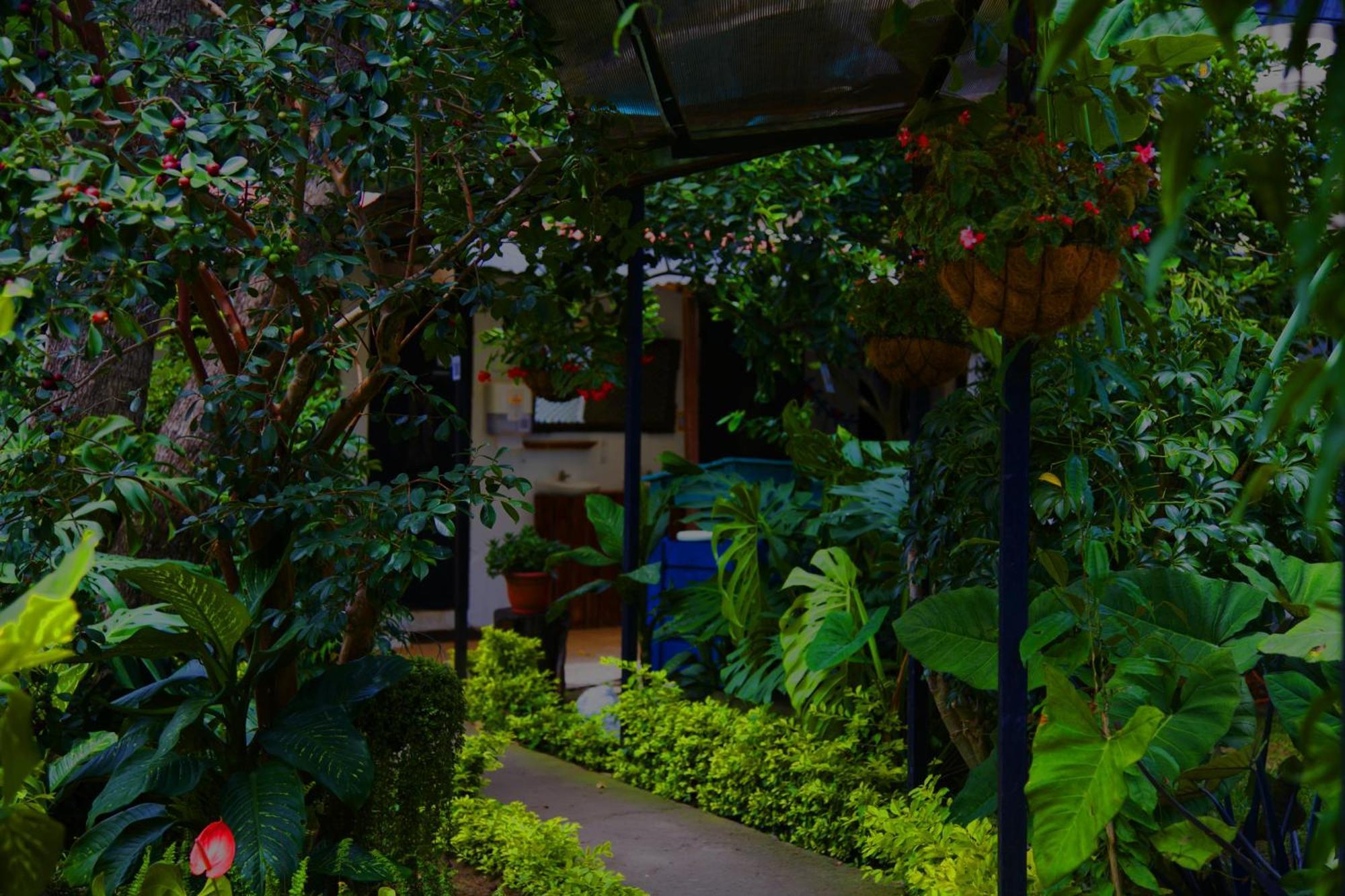 Hostal Antigueeno Antigua Екстериор снимка